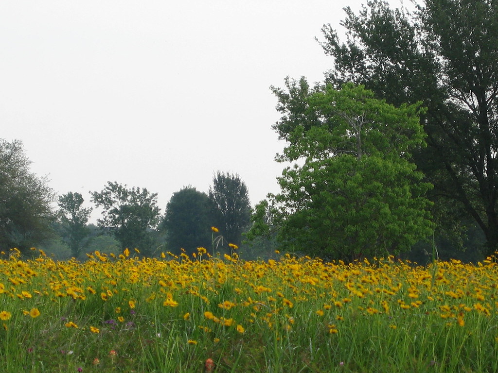 Elevation of Warda, TX, USA Topographic Map Altitude Map