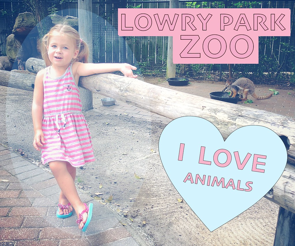 Lowry Park Zoo Paul Kenjerski Flickr