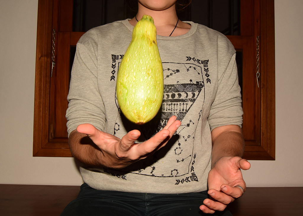 DSC_0636 Mariam Quintana Reyes Flickr