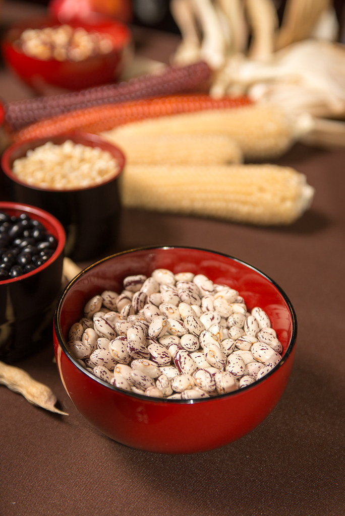 Borlotto beans from Ayers Creek Farm Culinary Breeding Network Flickr