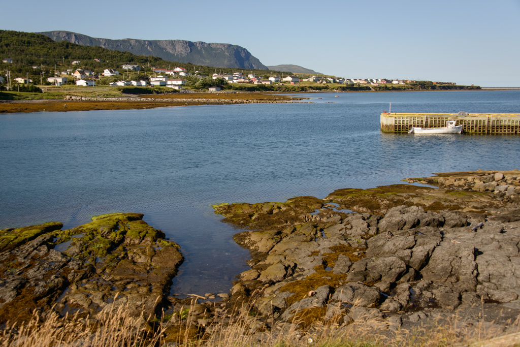 Housing view Rocky Harbour Newfoundland Scott Anderson Flickr