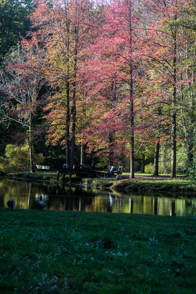 Dock Bunns Lake, Bradley Woods Reservation. Westlake, Ohio… Flickr