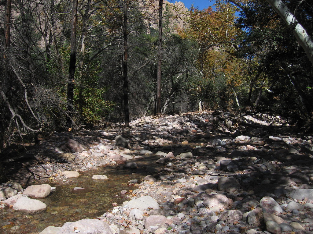 IMG_4806 2014_Oct_30 Cave Creek Canyon_Memories of Bisbee Chris