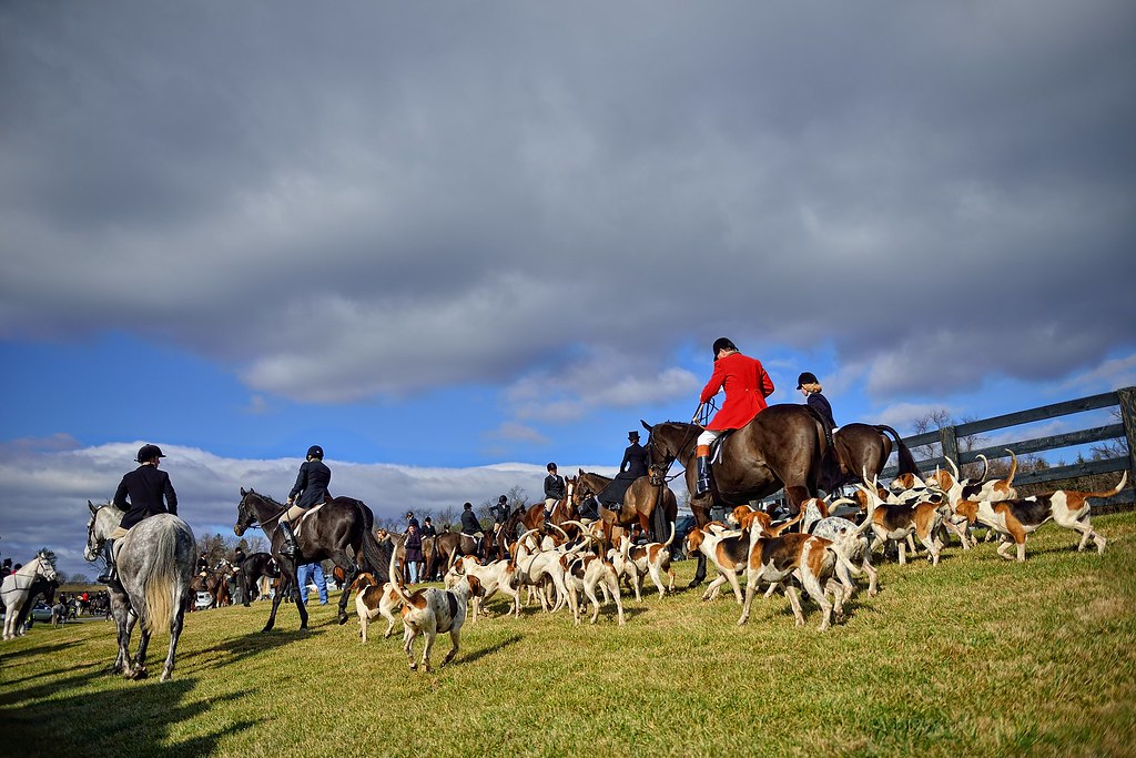 DB8_6230 Middleburg, VA Hunt Parade YYDB Flickr