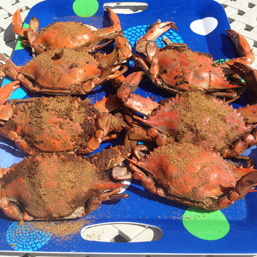 Fresh Crabs Lovely afternoon feast of fresh crabs taken fr… Flickr
