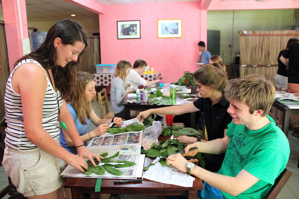Making Herbarium Specimens Pressing and collecting DNA sam… Flickr
