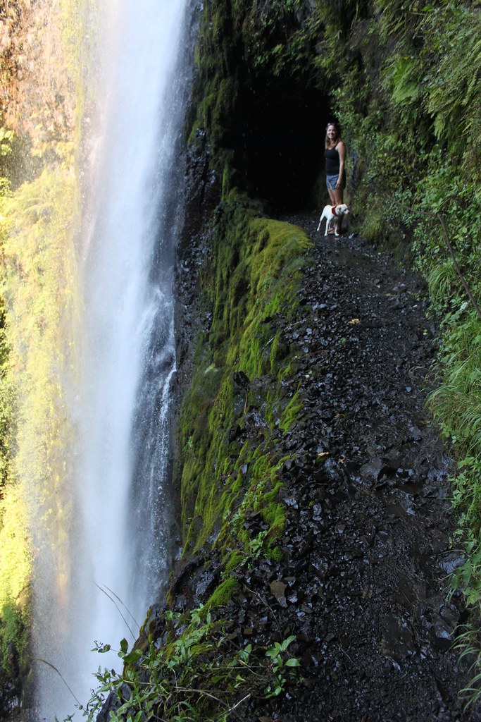 Oregon Eagle Creek Trail / Tunnel Falls Eli Duke Flickr