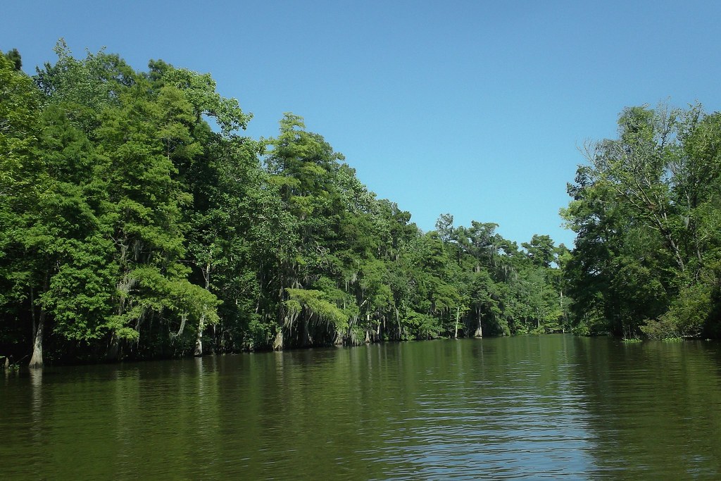 Bayou Boeuf, Louisiana Shane Adams Flickr