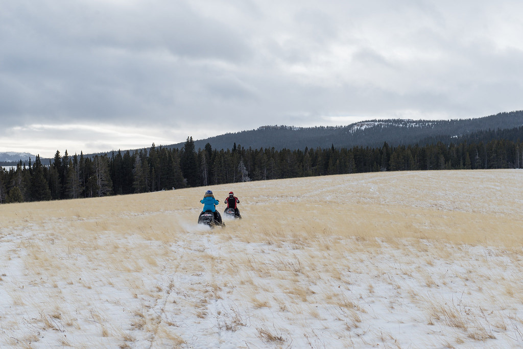 Bear Lodge Resort Set in the Bighorn National Forest, this… Flickr