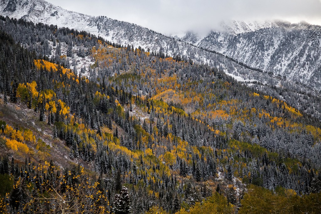 first snow Little Cottonwood Canyon, Utah 100316 03 Flickr