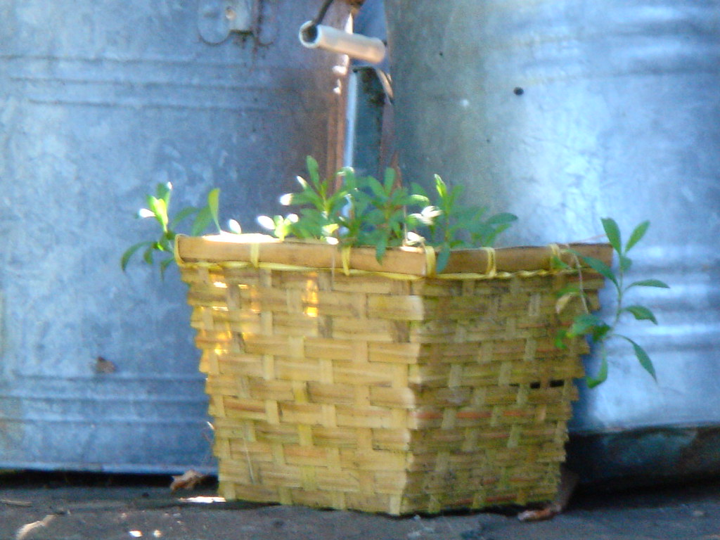 CrotononHudson 007 aib2006 Flickr