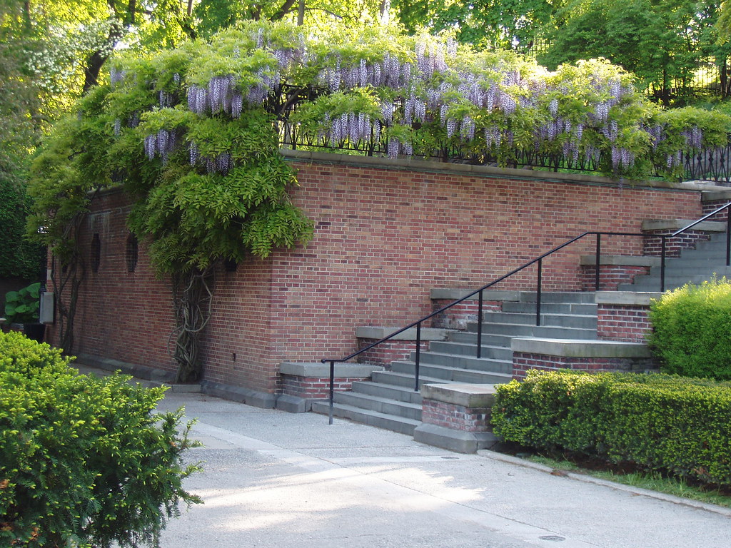 Wysteria, Conservatory Gardens Central Park, NY Two Horatio Flickr
