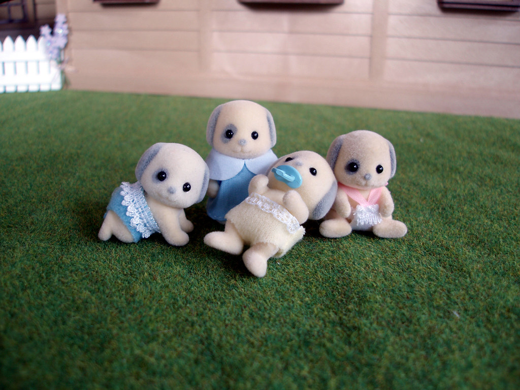 Ivory Dog Family (LR) Alfie*, Dora*, Angus*, Dinah Place… Flickr