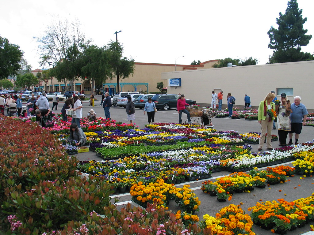 Lompoc Flower Sale 041606 Lompoc, CA Yearly the Botonical … Flickr