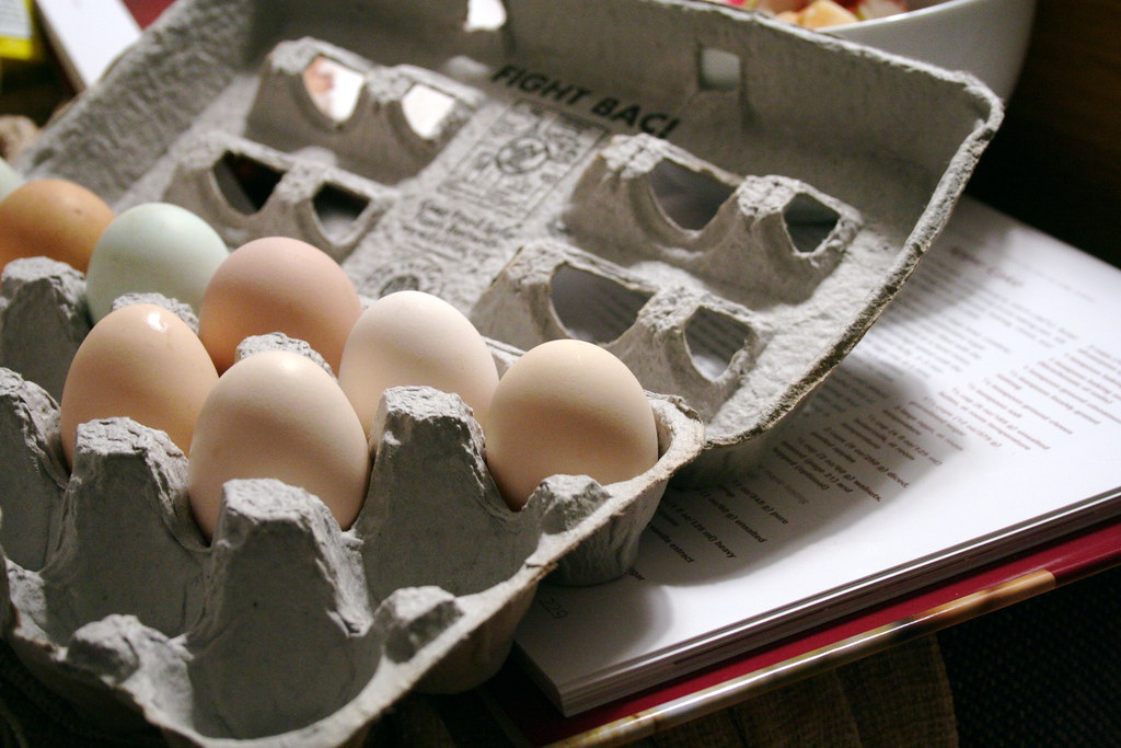 farmraised, grainfed These eggs came straight from Lily'… Flickr