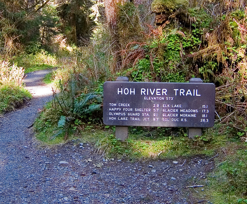 Hoh River Trail I didn't realize it was Earth Day until th… Flickr