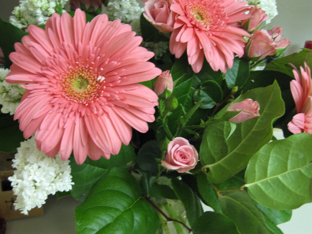 Wendy's flowers Wendy got flowers for doing a good job at … Flickr