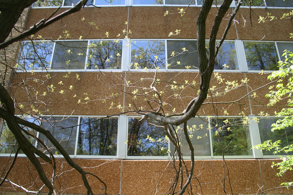 Bursley Hall, Rotvig House Yes, it's true. 30 years ago, I… Flickr