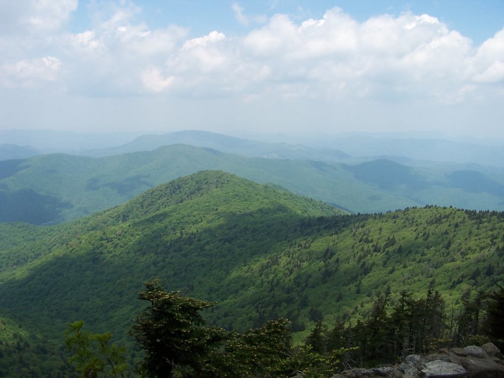 Roan Mountain Trail This is an overlook from the cloudland… Flickr