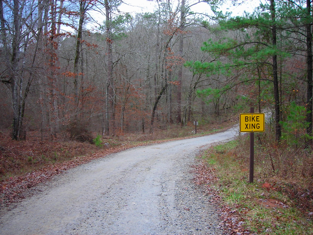 "BIKE XING"? carlocardinali Flickr