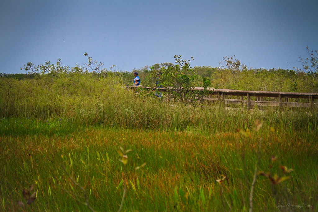The Slough A slough is a lowlying area of land that chann… Flickr
