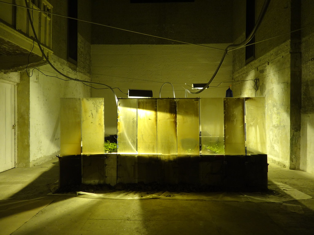 Mechanical Garden and Other Long Encores An installation a… Flickr