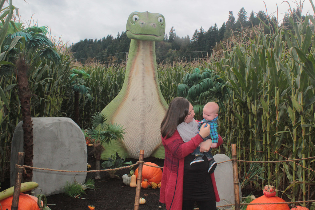 Spooner Farms2 Pumpkin Patch david macphail Flickr