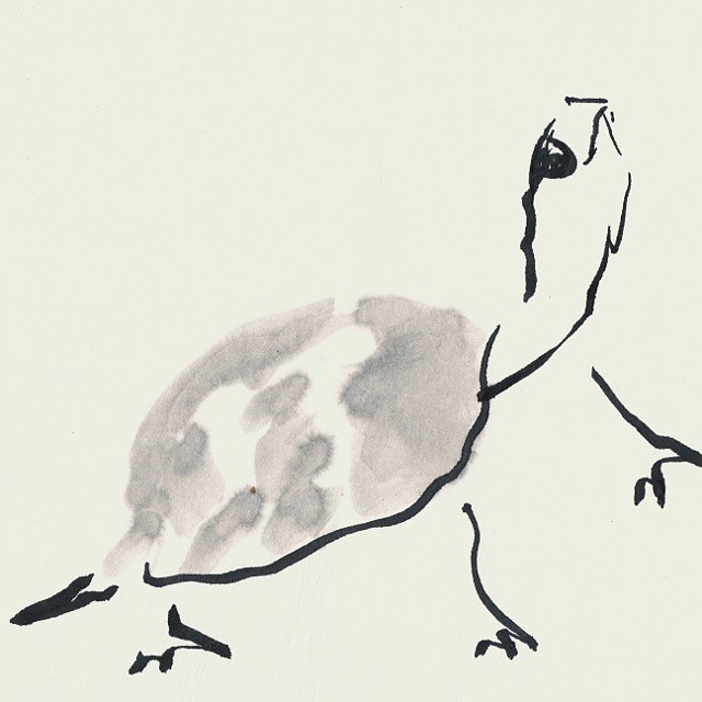 turtle art part of my sumie painting ink brush sum… Flickr