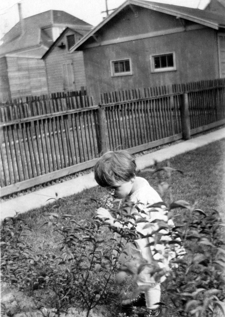 SmellingFlowers A girl smells a flower in Pomeroy, IA. Orin