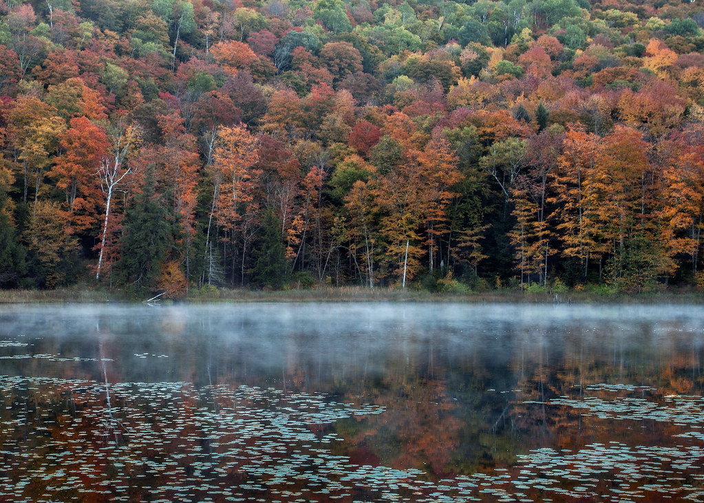 Lime Pond Sunrise Was up for sunrise on Lime Pond in Barna… Flickr