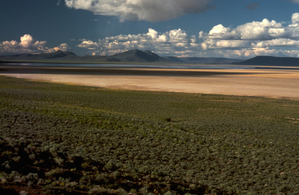 Alvord Desert While Steens Mountain looms to the west, the… Flickr