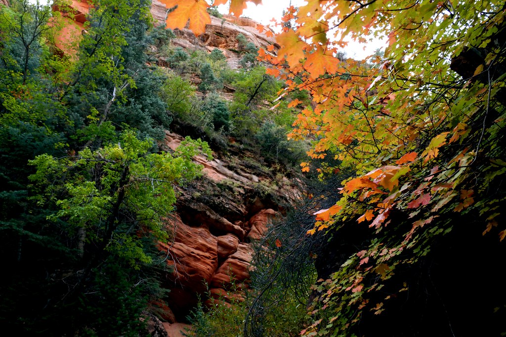 DSC07199 Kanarra Falls trail in Kanarraville, UT Randy Landry Flickr