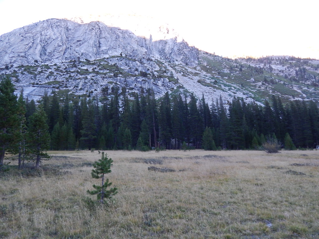 DSCN0293 Looking East across Grouse Meadows, I camped just… Flickr