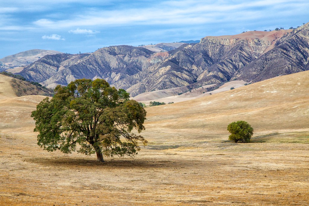 Deceptive Tranquility San Benito County, California This w… Flickr