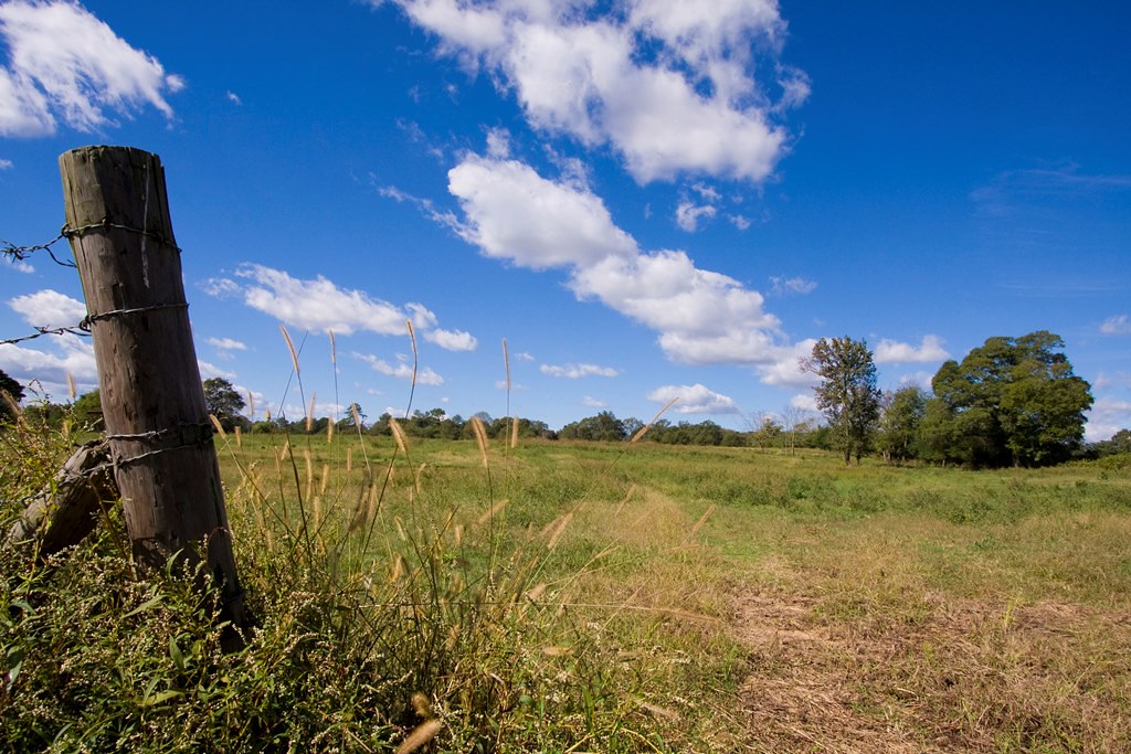 Boaz, Al Farm For Sale Small Farm Opportunity near Snead… Flickr