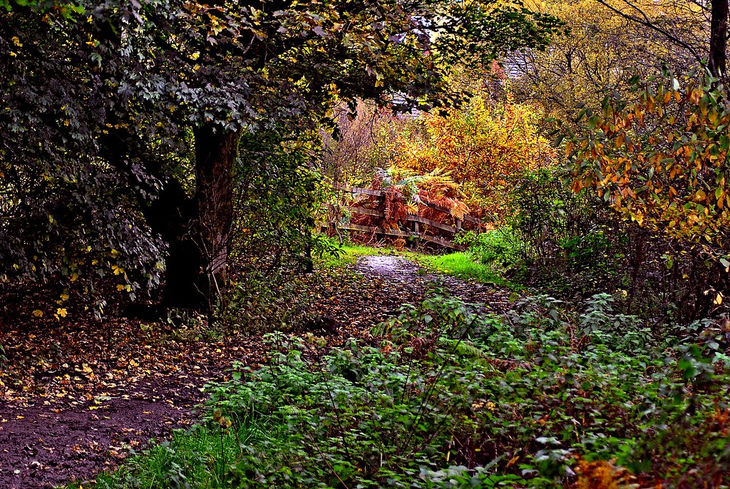 Autumn at Oldham Leesbrook park Oldham gordon simpson Flickr