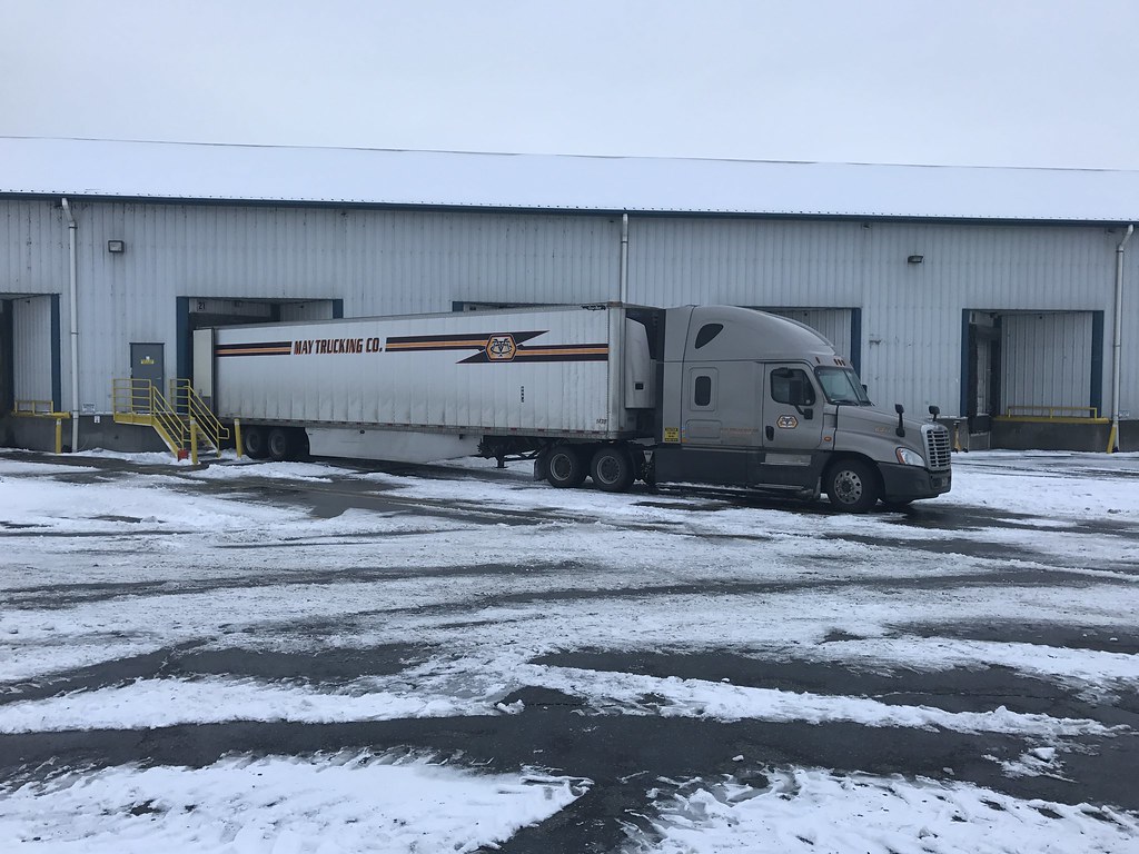 Lineage Distribution, Kennewick, WA 12/14/16 bewildebeeste Flickr