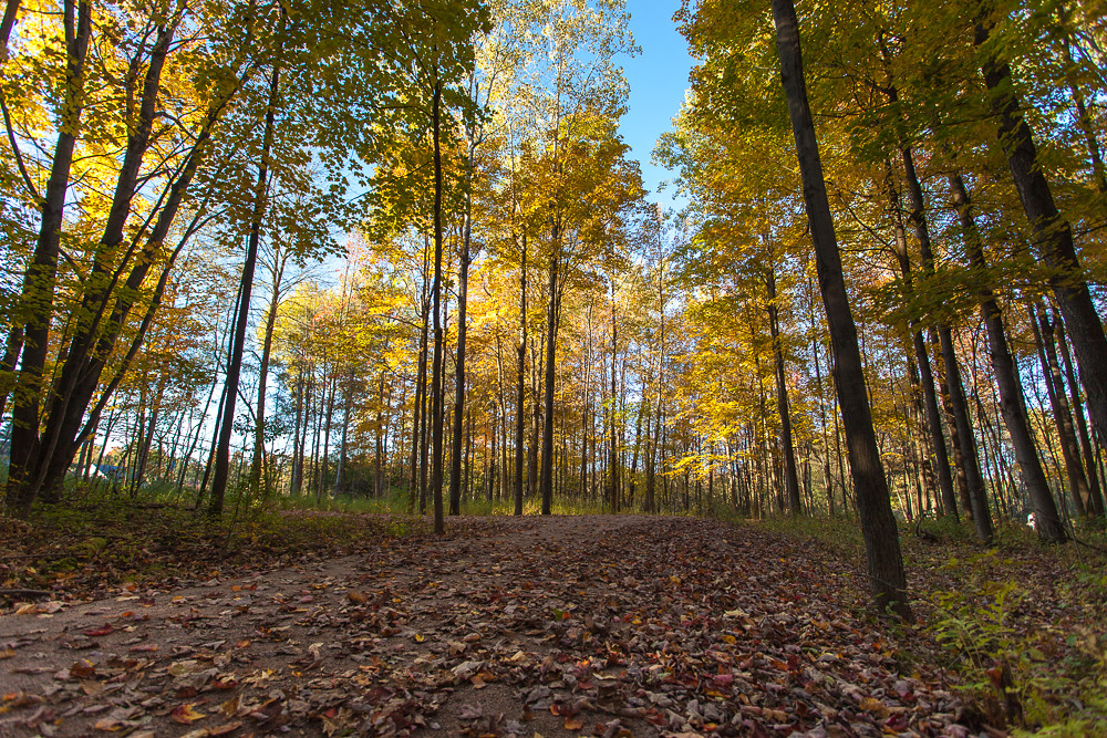 IMG_2843 Potsdam, NY Fall 2014 Brien O'Keefe Flickr