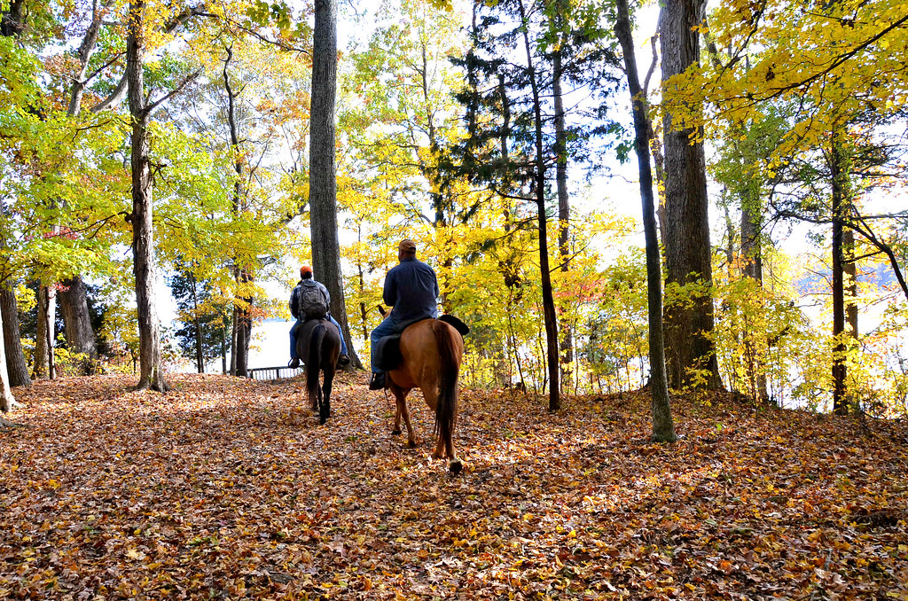 Horseback riding at Staunton River State Park Uploaded by … Flickr