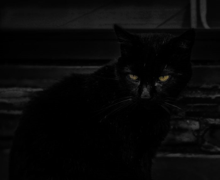 Black Cat CCTV 25mm f1.4 lens TOMA Studio Flickr