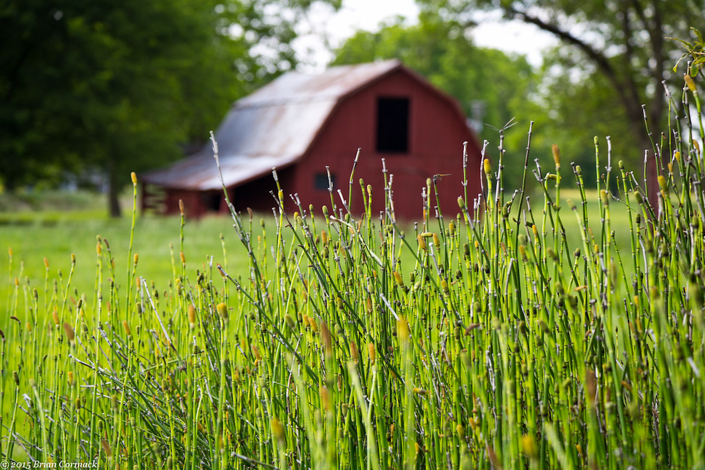 Keo An old barn, in the small town of Keo, Arkansas. Keo i… Flickr