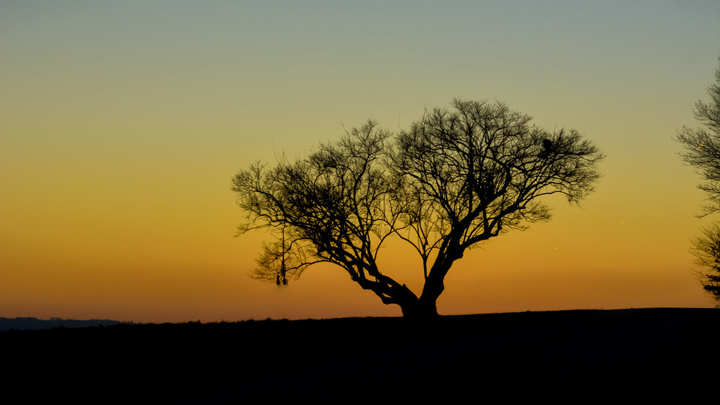 Bechtel Rd, Collegeville, PA, USA Sunrise Sunset Times