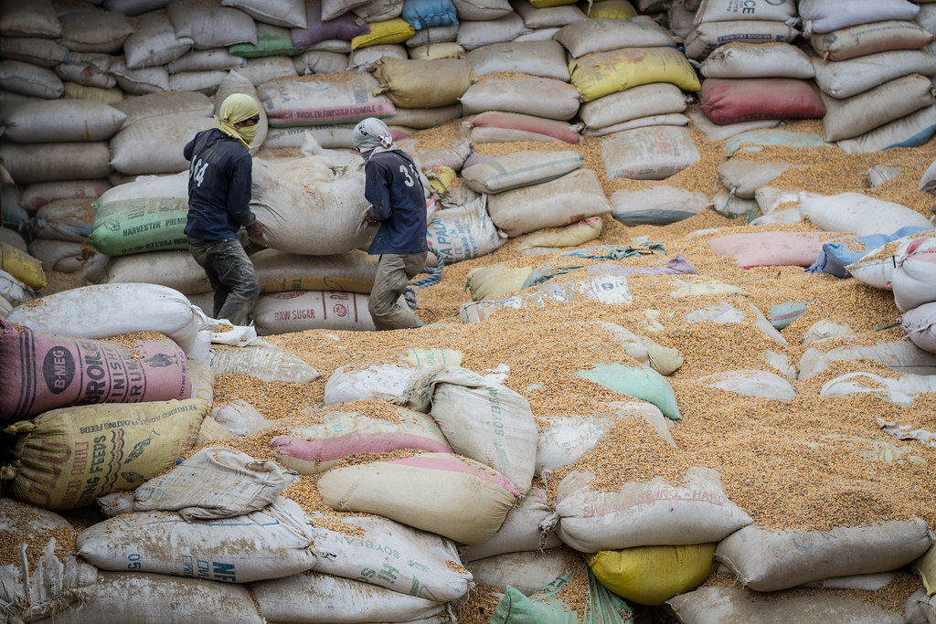 Cargo Hold Full of Poultry Feed Taken at Latitude/Longitud… Flickr