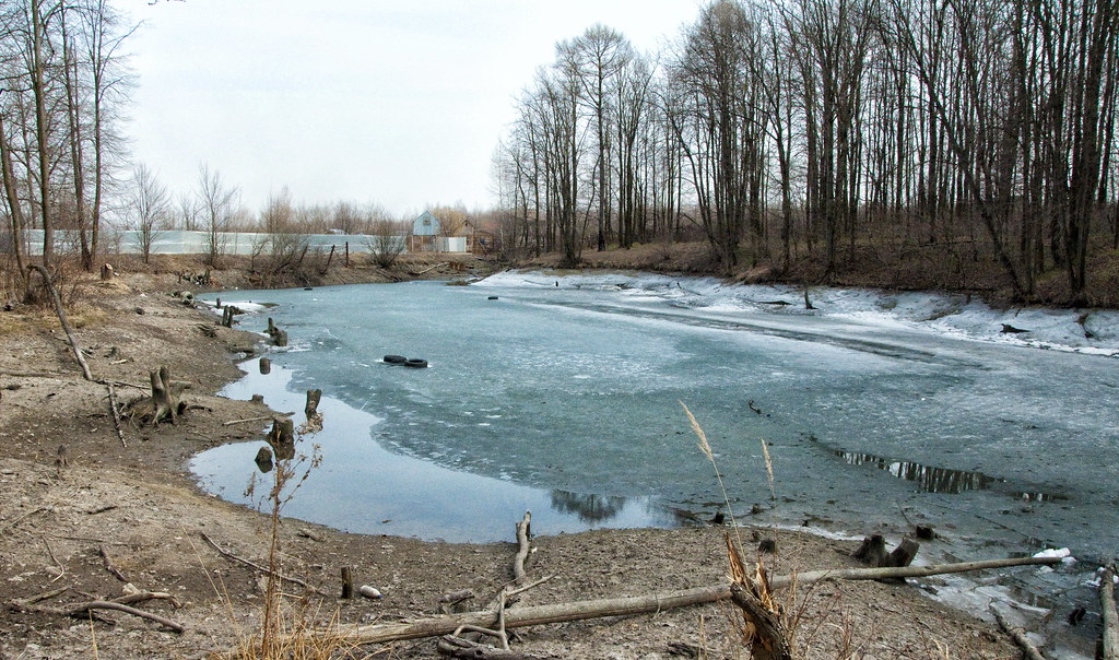 Лесное озеро Art (RUS) Potosi Flickr