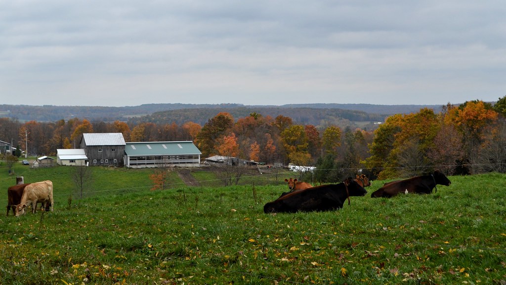 Milky Way Meadows Townville, PA ablong3 Flickr