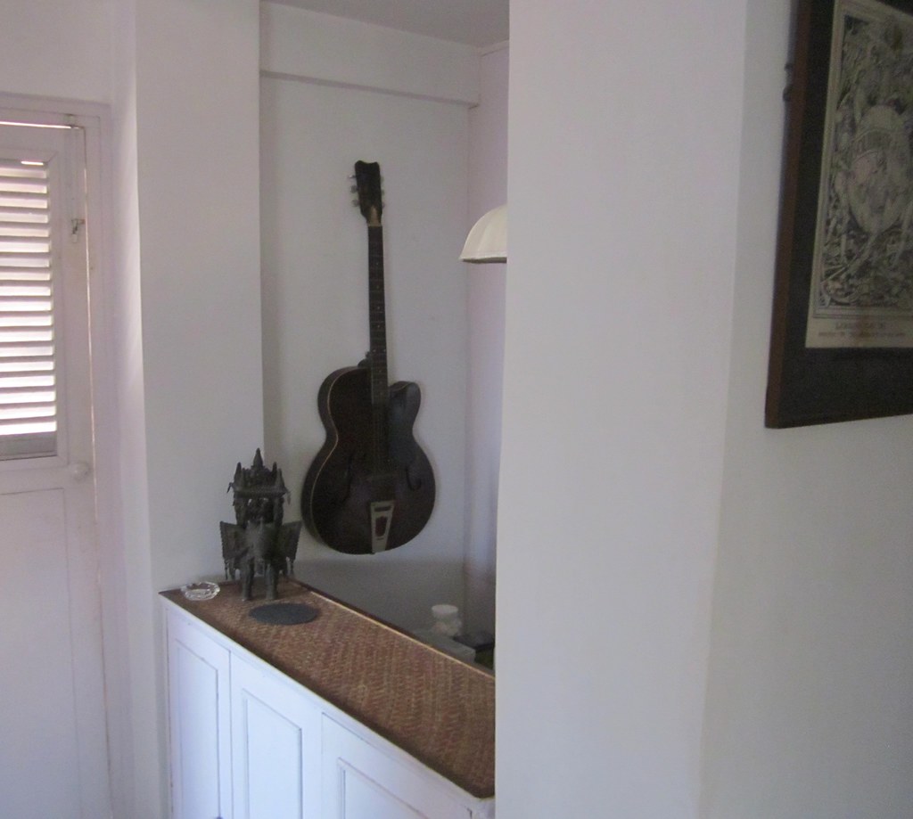 Kolkata apartment Pond Frog Flickr