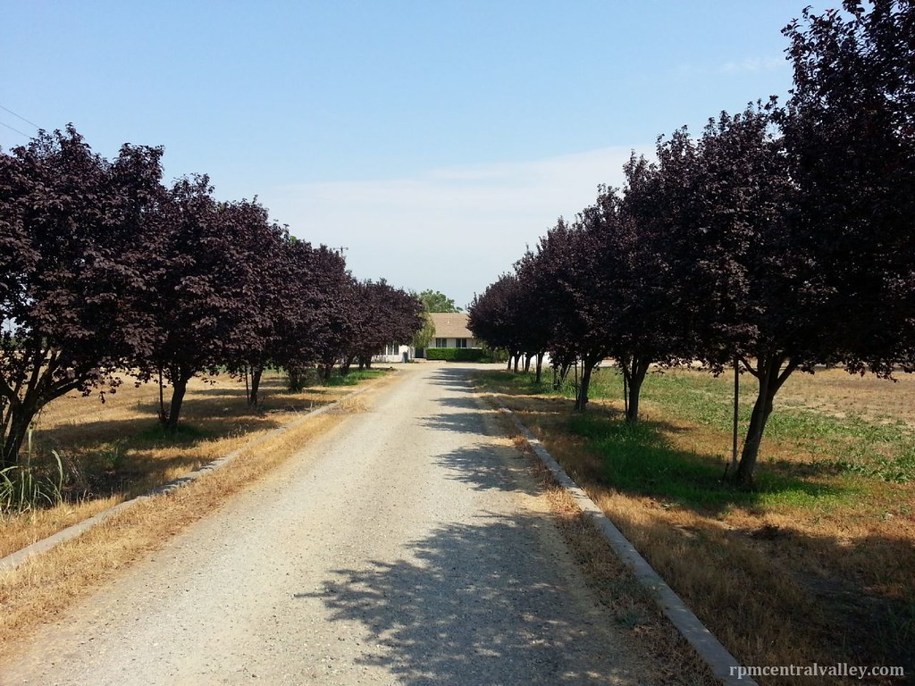 Patterson Property Management Solution With Real Property … Flickr