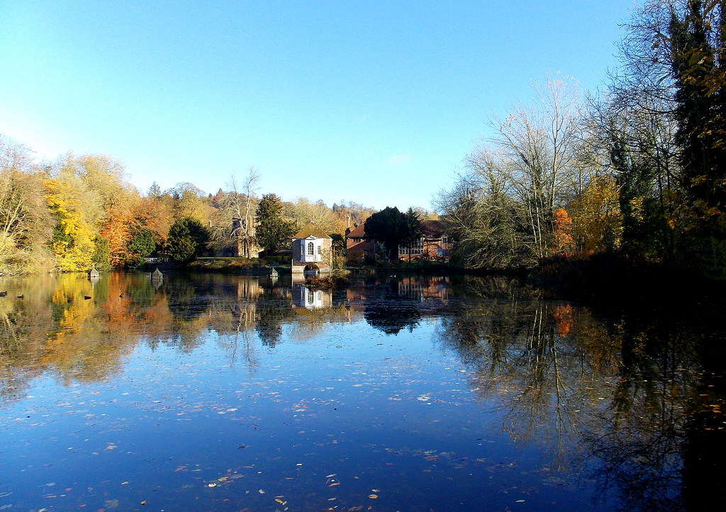 Pilgrims lake morning light. Harrietsham. Moira anne Rye Flickr