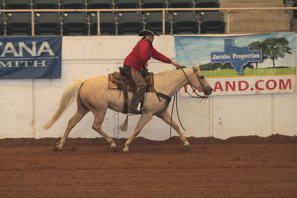 2014 SHOT World Show Day 3 The Stock Horse of Texas Worl… Flickr