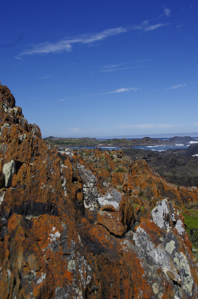 Gardiner Point Erika Flickr